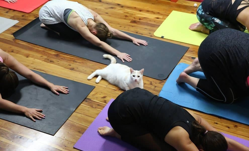 Why should you start practicing yoga in 2025?
