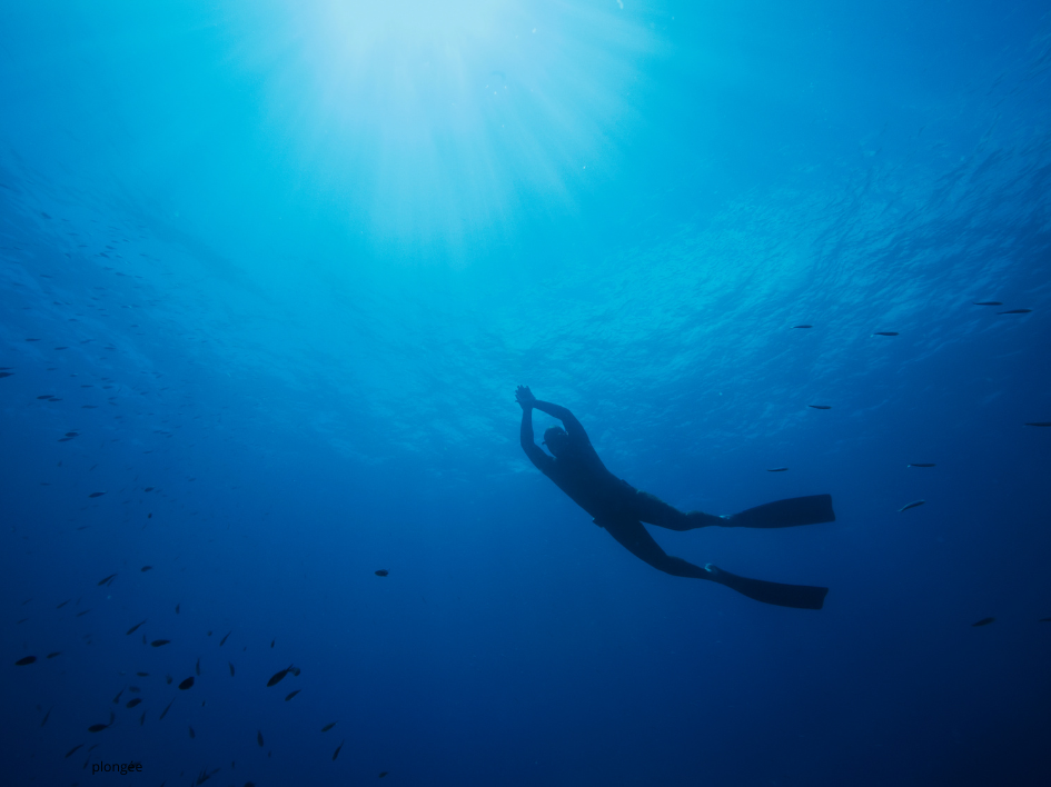 Pranayama and diving: improve your underwater performance with breathing yoga