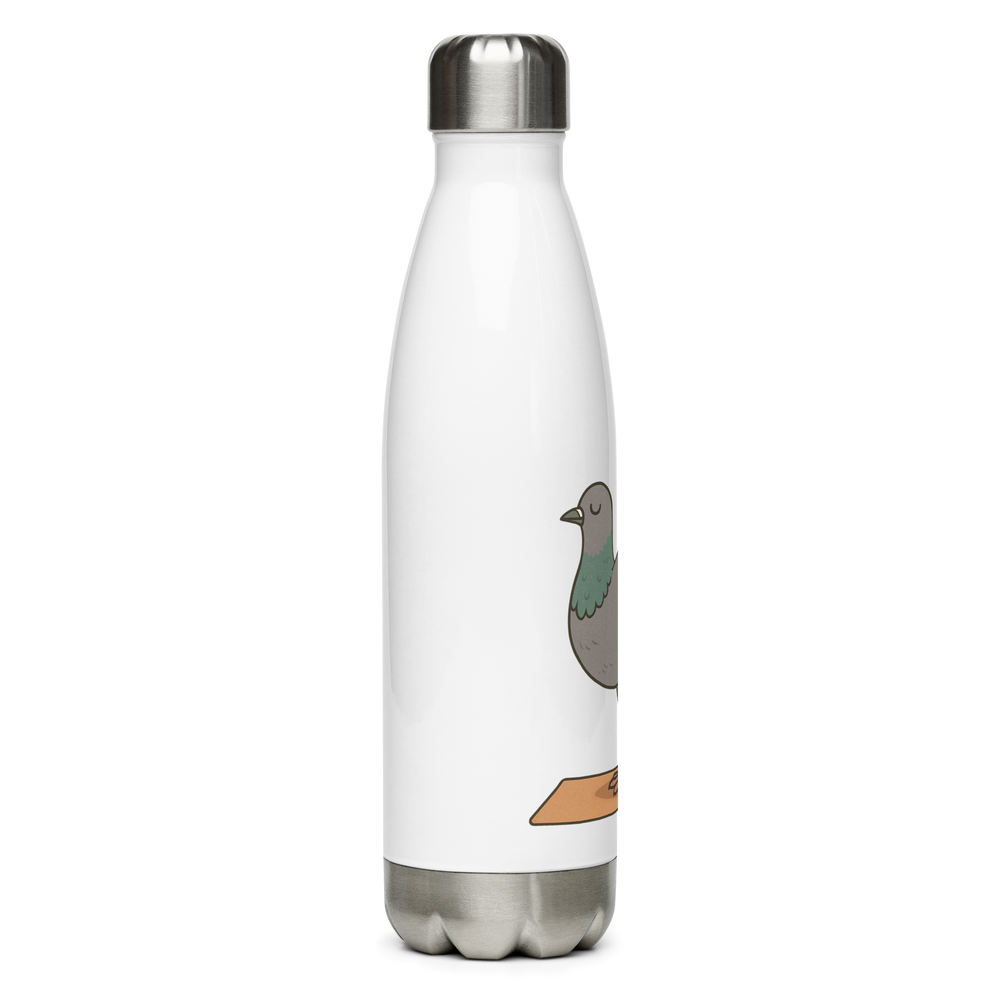 gourde - le pigeon